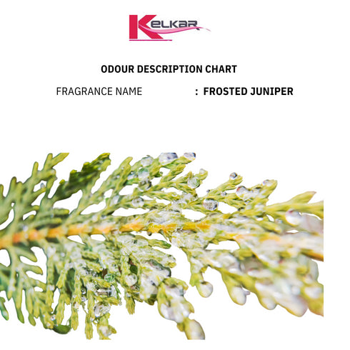 Frosted Juniper